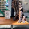Lieuwe (sold) - Afbeelding 2